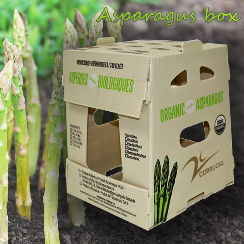 Mangosteen PP Corrugated Box Glossy Apple Coroplast Box Customized