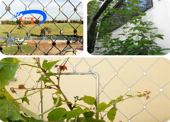 1.2mm Climbing Plant Support Mesh 200mm Stainless Steel Cable Wire Rope Netting 30x30mm