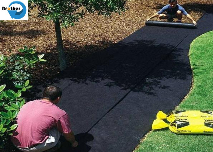 0.5-6m Wide 90GSM 100GSM Quality Ground Cover Weed Control Fabric Membrane Mulch Black Ground Weed Weed Membrane