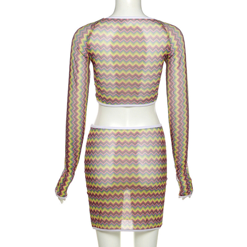 Polyester Two Piece Casual Set See Through Mesh Printed T Shirt High Waist Bag Hip Skirt