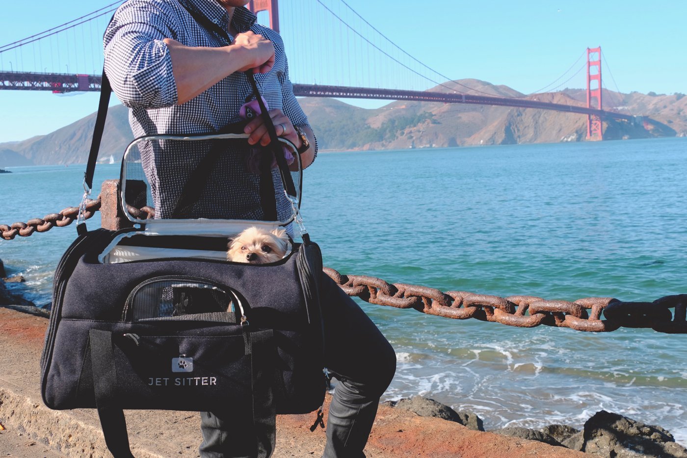 Luxurious Padded Interior Lined Pet Carrier Bag With Removable Roof Bars