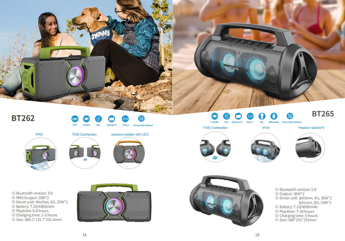60W Waterproof IPX5 Bluetooth Wireless Speaker with TWS, DSP, TF Card, Equalizer & Subwoofer