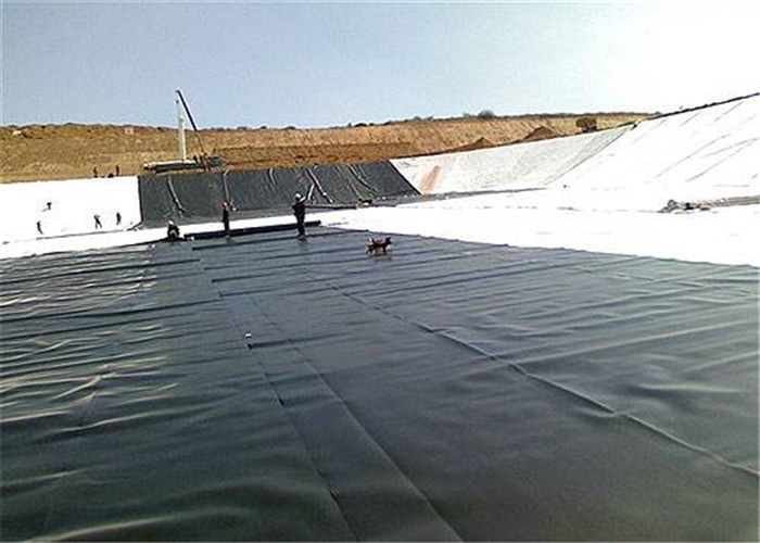 Plastic Anti Seepage 0.75mm Polyethylene Geomembrane