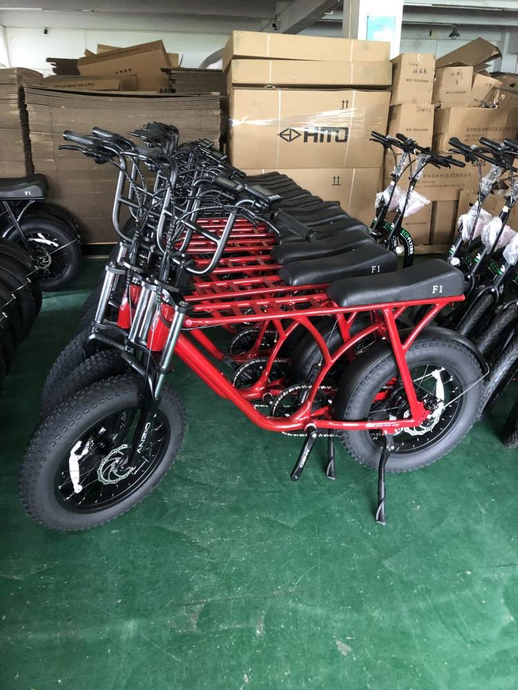 20" Fat Tire Electric Bike Beach Cruiser Snow Aluminum 36v 10ah 350w 8FUN Brushless