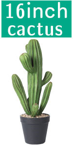 Artificial Cactus