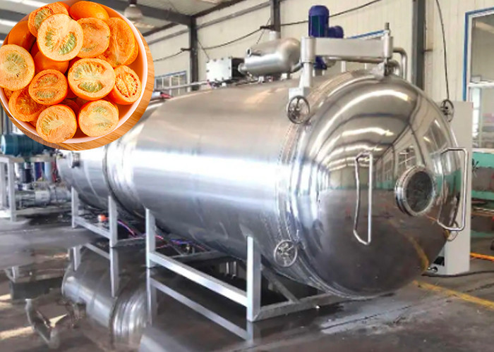 Fruits Vegetables Industrial Freeze Machine 100kg/Batch