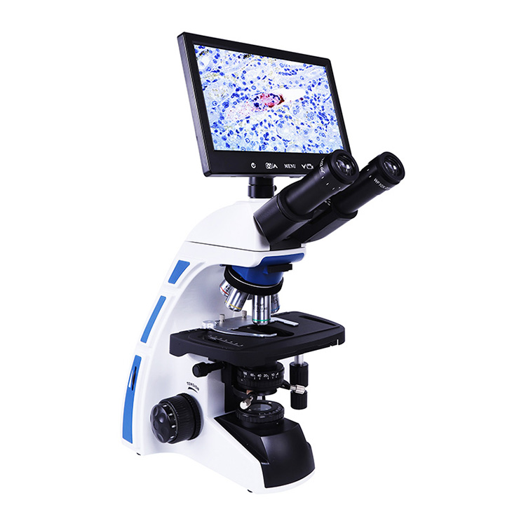 Three-Eye Hinged Observation Tube Microscope for Bacterial Observation in Science Labs