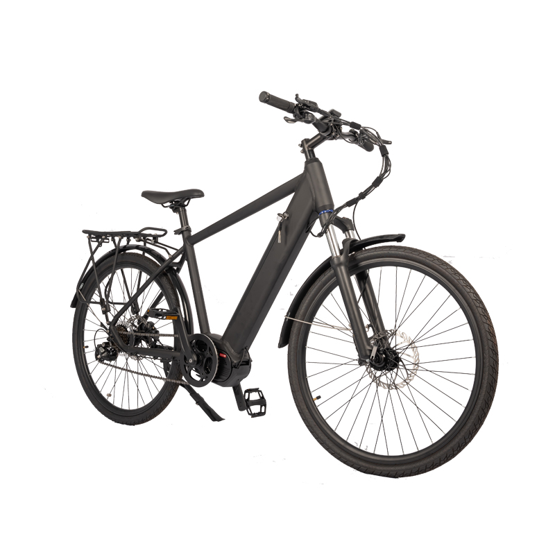 2024 Central Motor 36v 10.5ah Disc Brake City Electric Bike with Hidden Lithium Battery