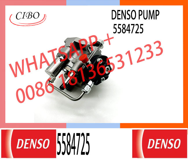 High Pressure Fuel Injection Pump 294000-3010 5584725 5318651 For Fukang 3.8
