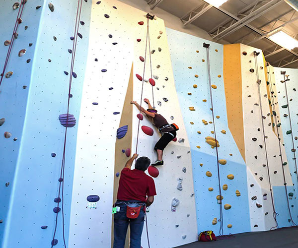 Anticorrosion Backyard Rock Climbing Wall OEM Design For Amusement Park