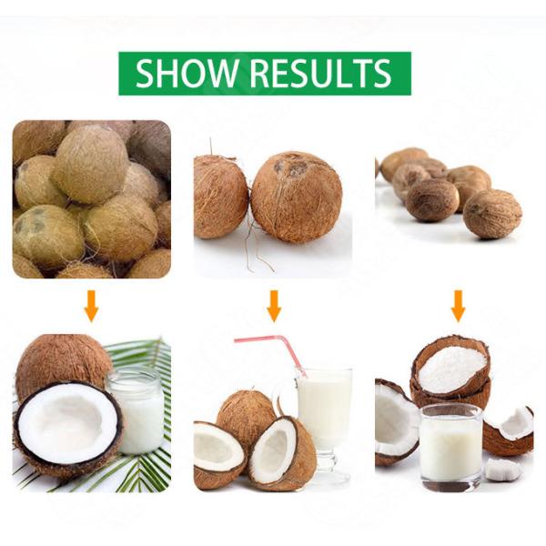 CE ISO Fruit And Vegetable Processing Line Coconut Processing Line