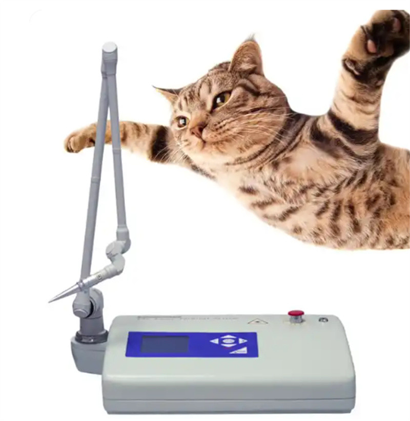 Portable Lcd Veterinary Co2 Laser For Animal Surgery Co2 Laser Surgical Device