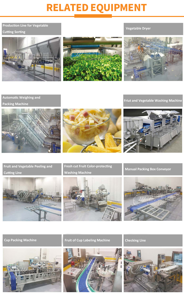 Vegetable And Fruit Cleaning Machine Potatoes Washing Machine