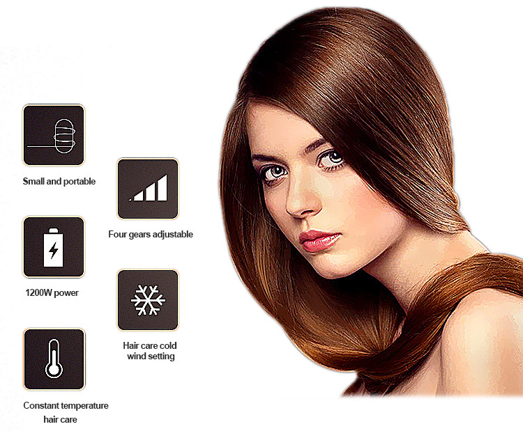 50/60Hz Hair Blow Dryer , Portable 1200W Negative Ion Hair Dryer