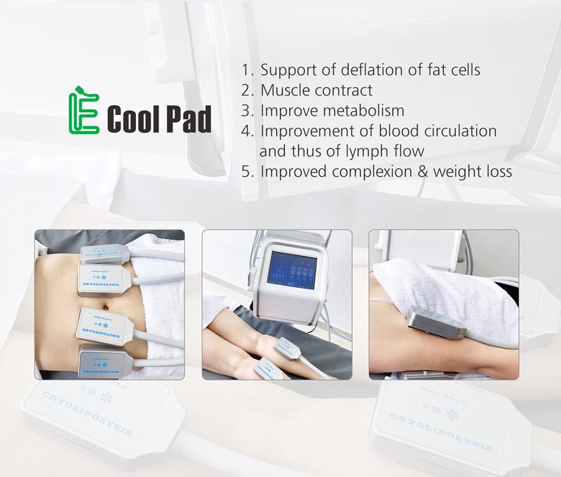 4 Handles 30Hz Cryolipolysis EMS Machine For Body Slimming