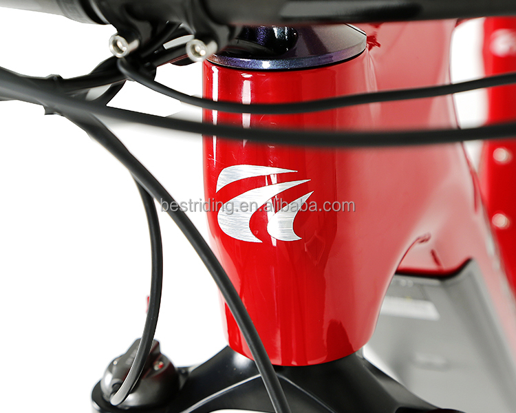 Remote Control Electric Bike M510 Mid Drive And 48V 13Ah Lithium Battery