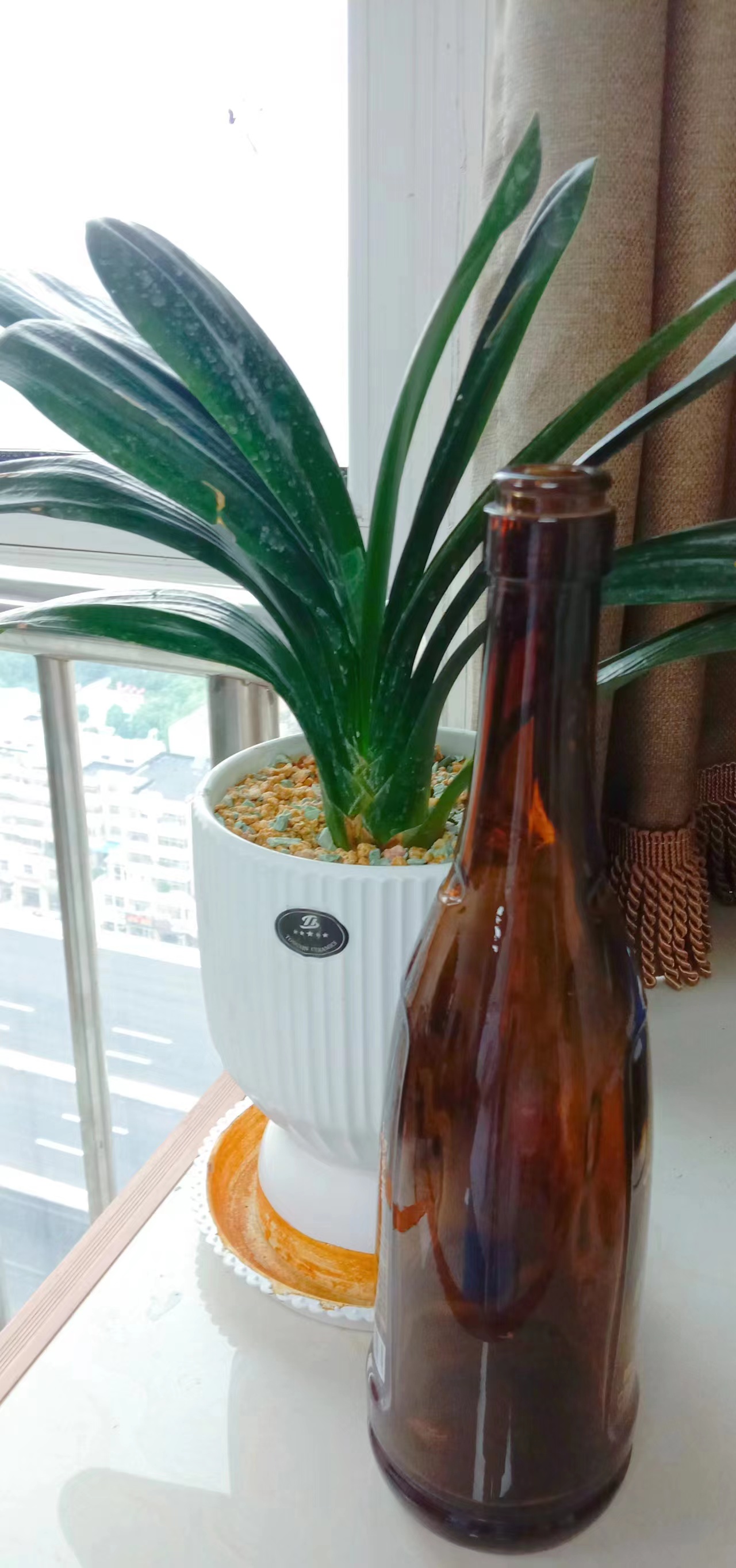 500ml Glass Bottle for Juice Made of Glass Material by Glass Products