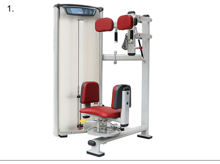 Gym Use Matrix Strength Training Equipment Commercial Bodybuilding Rotary Torso