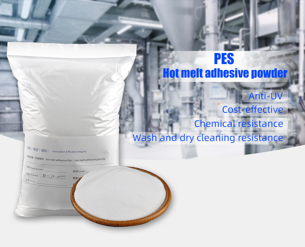 Copolyester PES Powder
