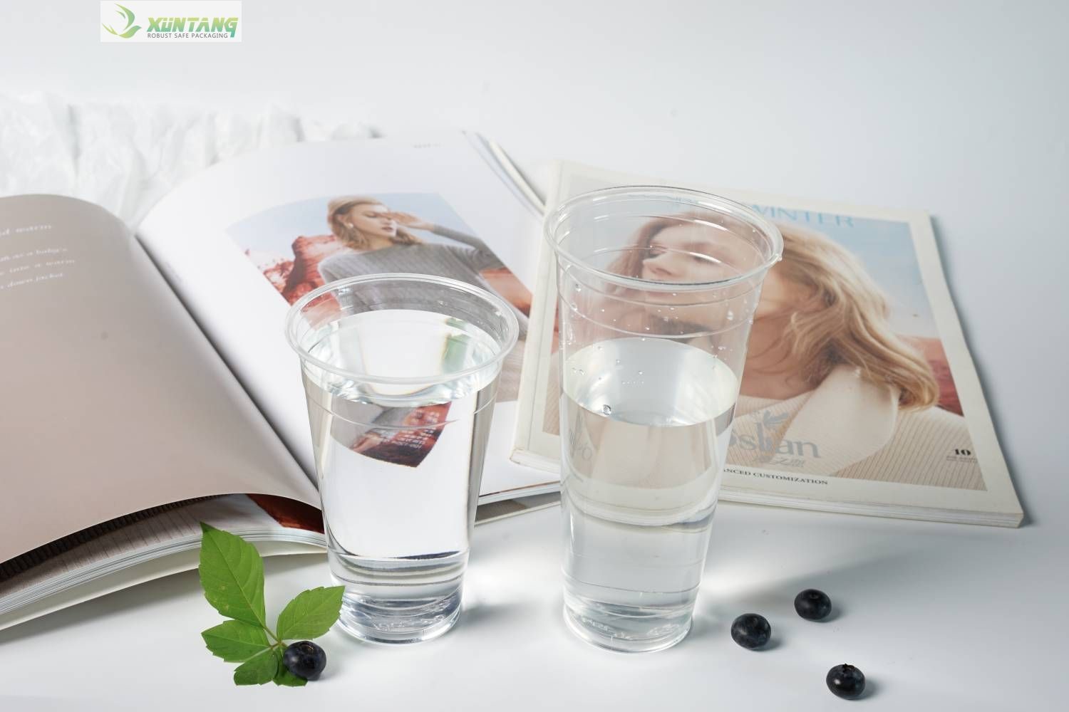 PLA Eco Friendly Disposable Cups