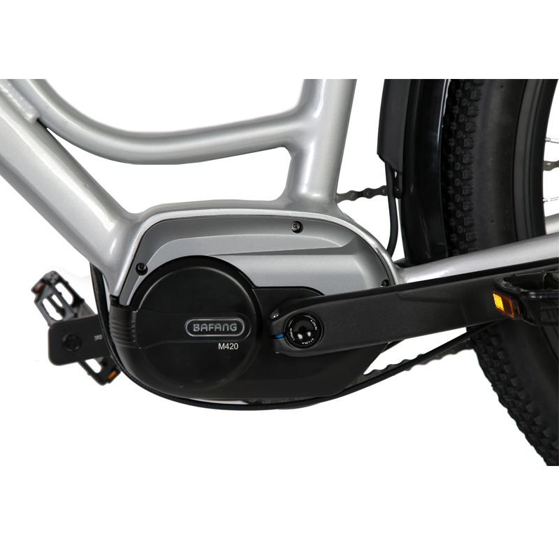 DOMANCA 750w Lady Electric Bike Sensor Smart Type and 18 Speed Gears for City Riding