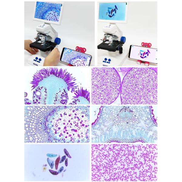 OPTO-EDU A33.5130 7" LCD Digital Microscope 55x-550x Magnification 8.0M CMOS