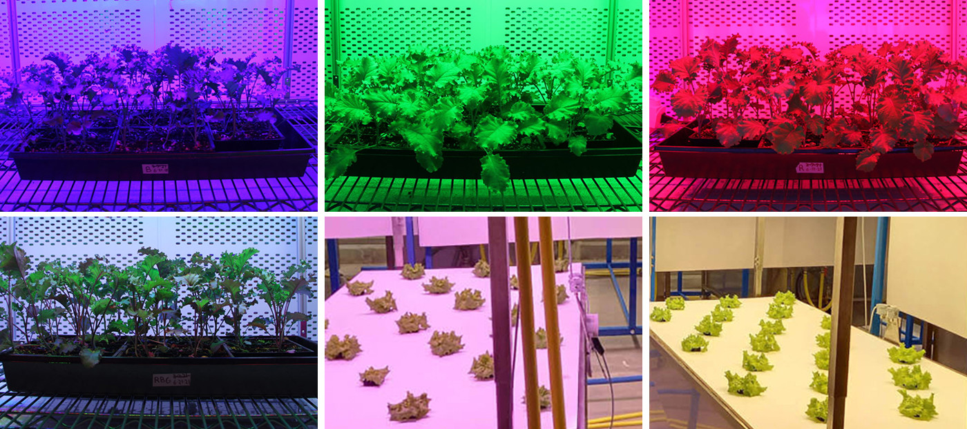 High Efficiency 400w Led Grow Lights For Weed Growing 600W HPS Replace Dimmable Timing Full Spectrum Daisy Chain