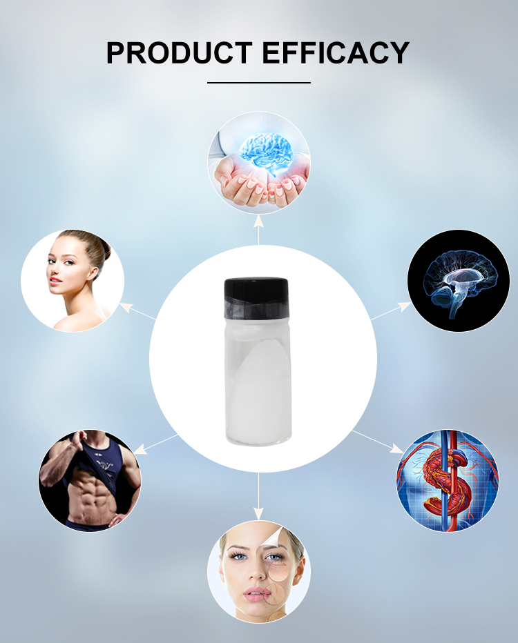Tested Spermidine Trihydrochloride 98% Bulk Powder Wheat-Germ Extract Spermidine For Capsules