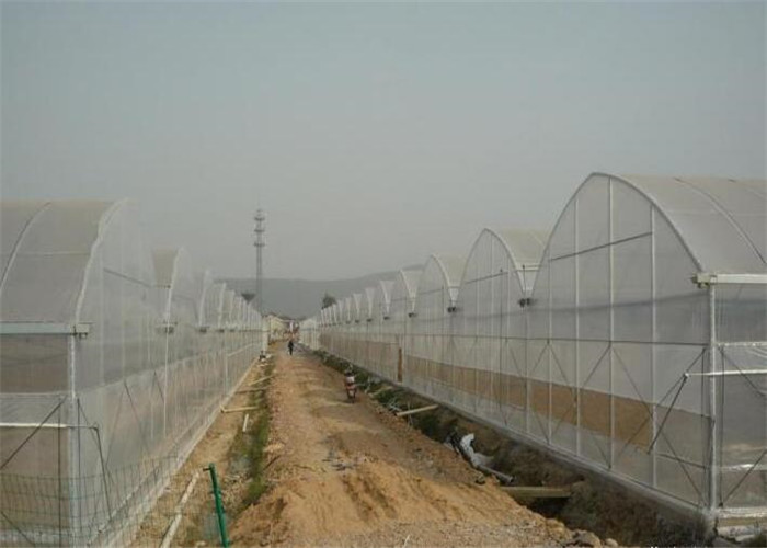 High Strength Plastic Film Greenhouse Galvanized Steel Greenhouse Frame