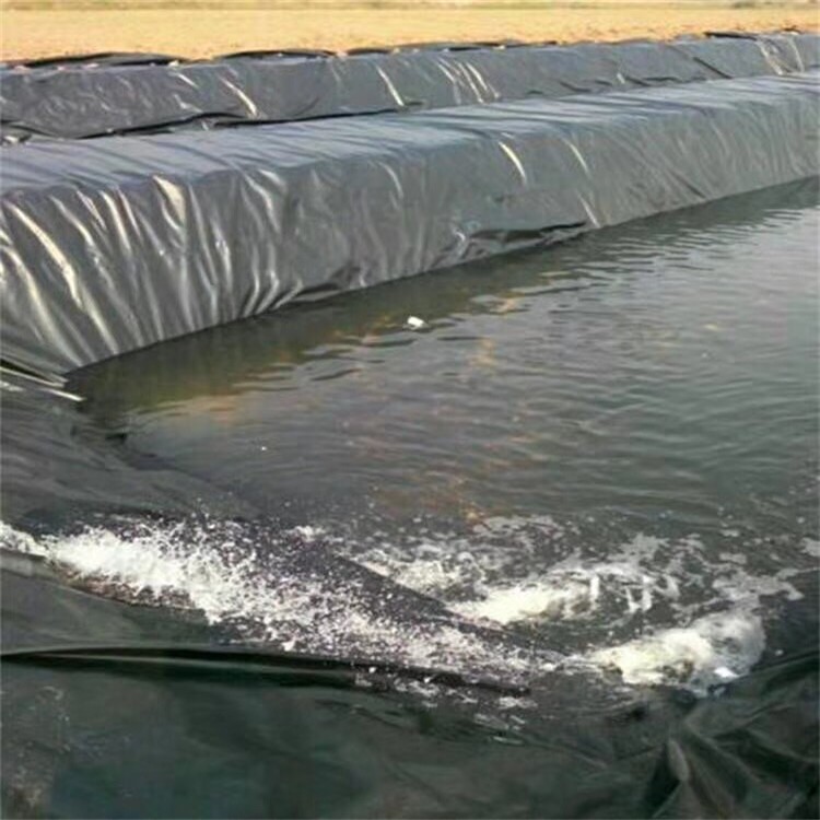 Geomembranes in Industrial Design Style for Easy Installation Pond and Dam Liners