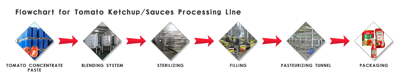 Double Concentrate Tomato Paste Turnkey Production Line
