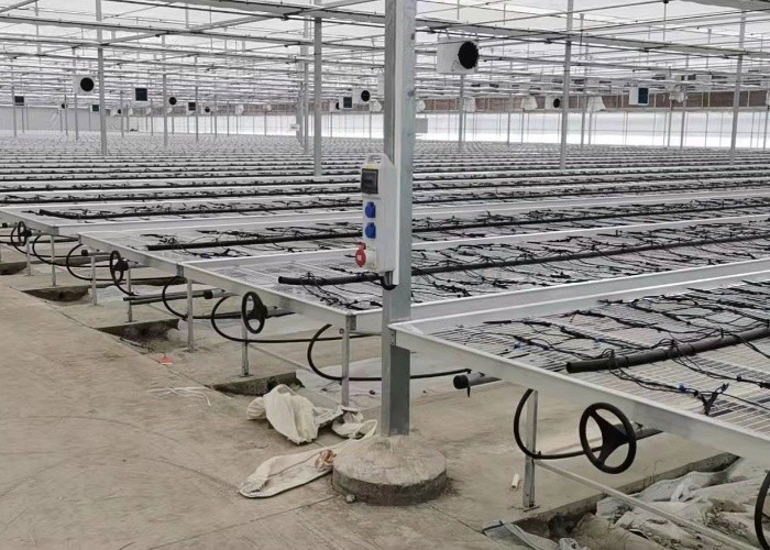 Diy Commercial Greenhouse Rolling Benches Galvanized Steel Mesh For Orchid Nursery Flowers Irrigation