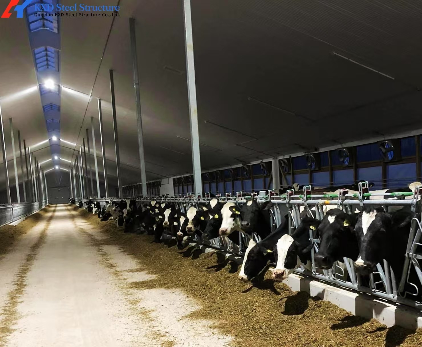 Steel Frame Cattle Sheds Dairy Cow House Hanging Type Exhaust Cooling Fan