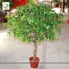 Buy cheap UVG Indoor artificial miniature banyan tree in plastic leaves for home garden from wholesalers