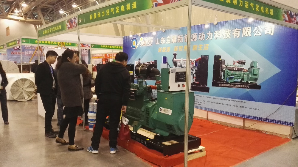Silent Natural Gas LPG Generator as Home Standby Generator