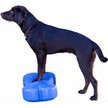 Hot sale high quality bone Dog training balancing bone