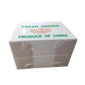 China OEM Corflute Fresh Ginger Box Folding Corrugated Plastic Box on sale
