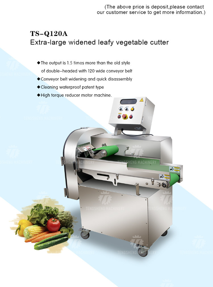 180KG Large canteen commercial potato slicing multi-functional single head vegetable leaf slicing machine made in Taiwan