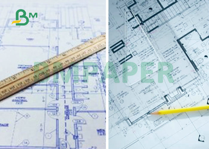 2'' Core 80GSM Single Side Blueprinting Paper 508mm Width For CAD Drawing 