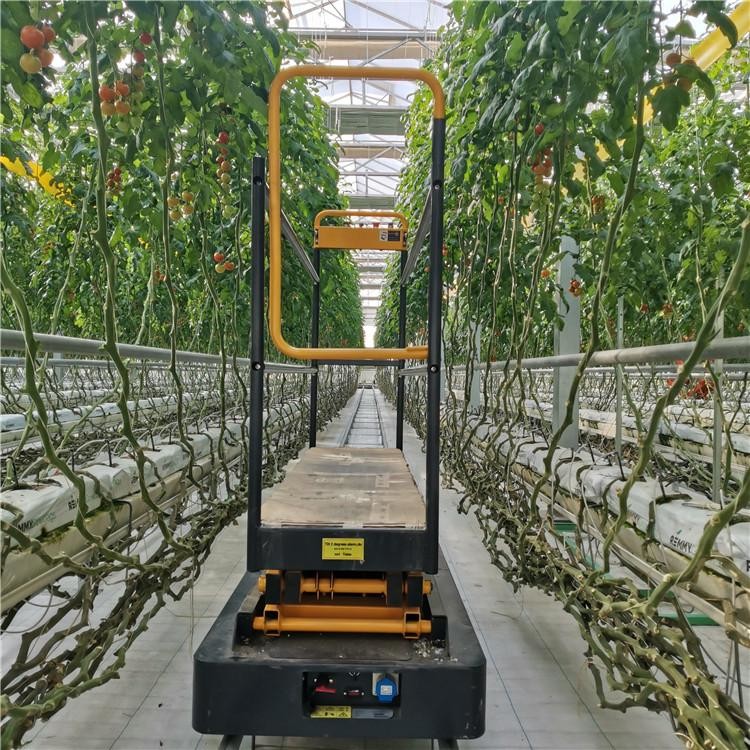 Orchard Lift Rail Picking Climbing Car Greenhouse Harvest Trolley Agricultural Planting