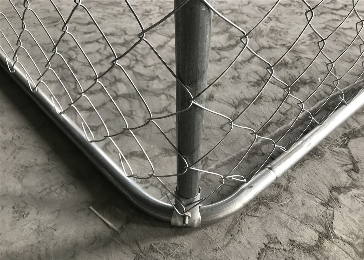 chain link dog kennel