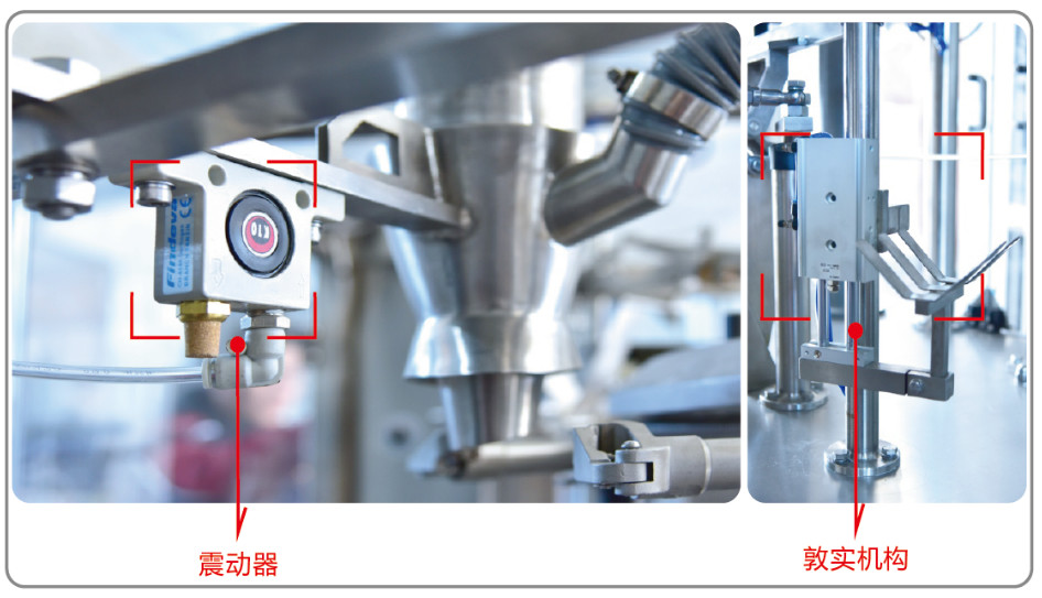 Pesticides GD6-350 Fully Automatic Rotary Bagging Machine