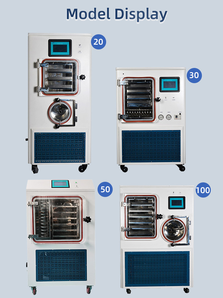 ZLGJ-50 Standard Silicone Oil Heating Pilot Laboratory Freeze Dryer