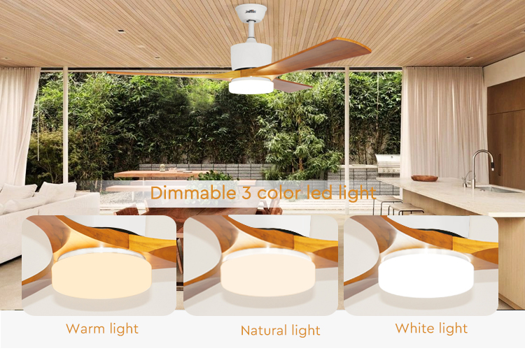 LED Ceiling Fan Decorative Lighting with Electric DC Motor and Remote Control Function