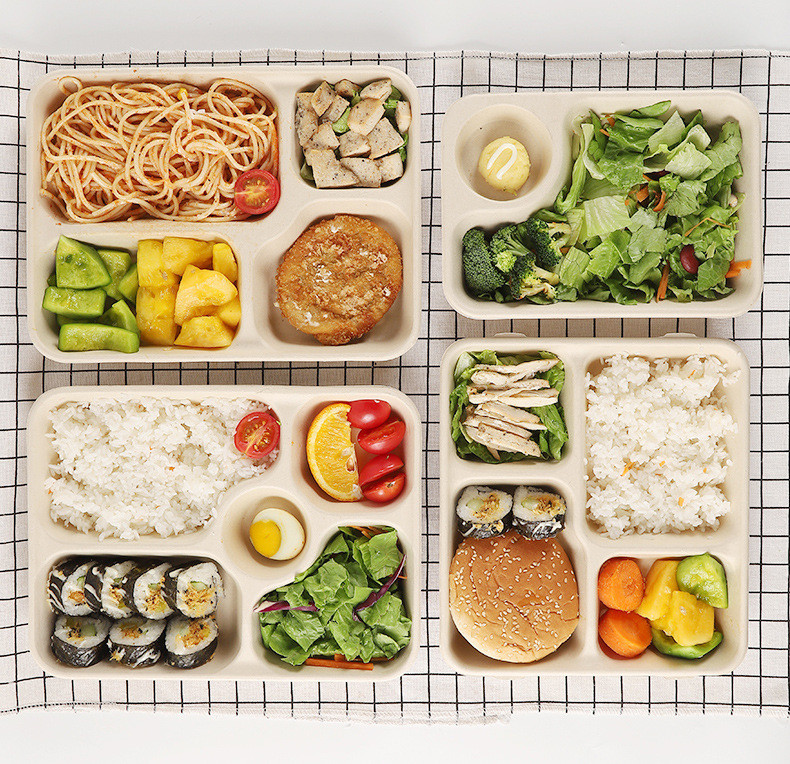 School Lunch Biodegradable Sugarcane Plates Disposable