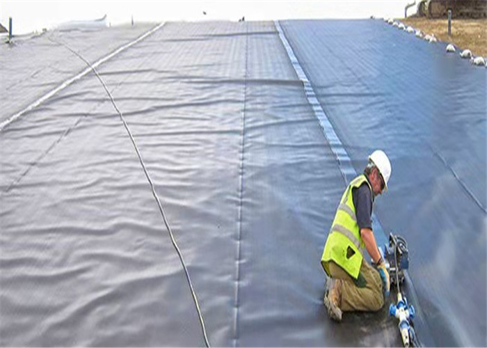 Fish Pond Polyethylene Geomembrane Waterproof Aquaculture Hdpe Impervious