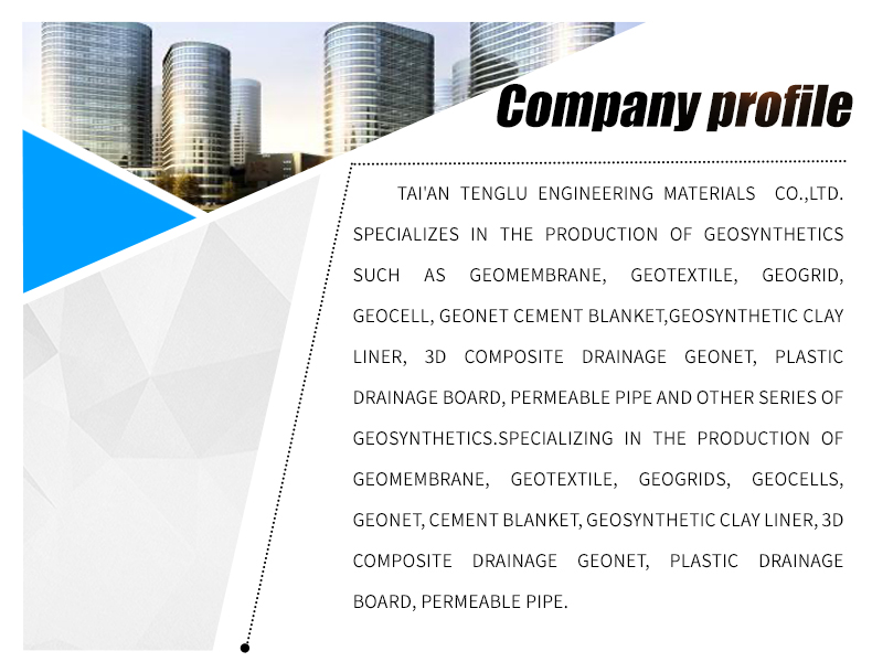 Parking Lot and Driveway HDPE Plastic Grass Grid Paver CE/ISO9001/ISO14001 Certified