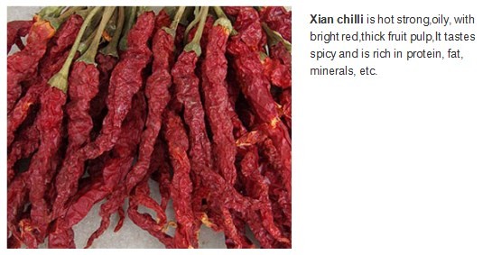 Block Shape Xian Chilli Seasoning Stemless Long Dry Red Chilli