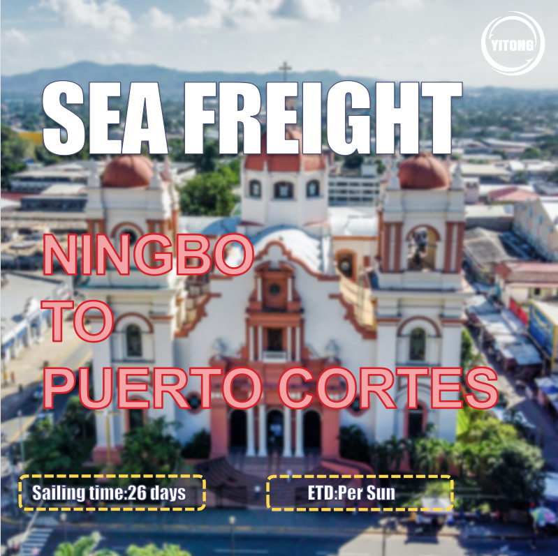 26 Days Sailing Worldwide Sea Freight Services From Ningbo To Puerto Cortes Honduras