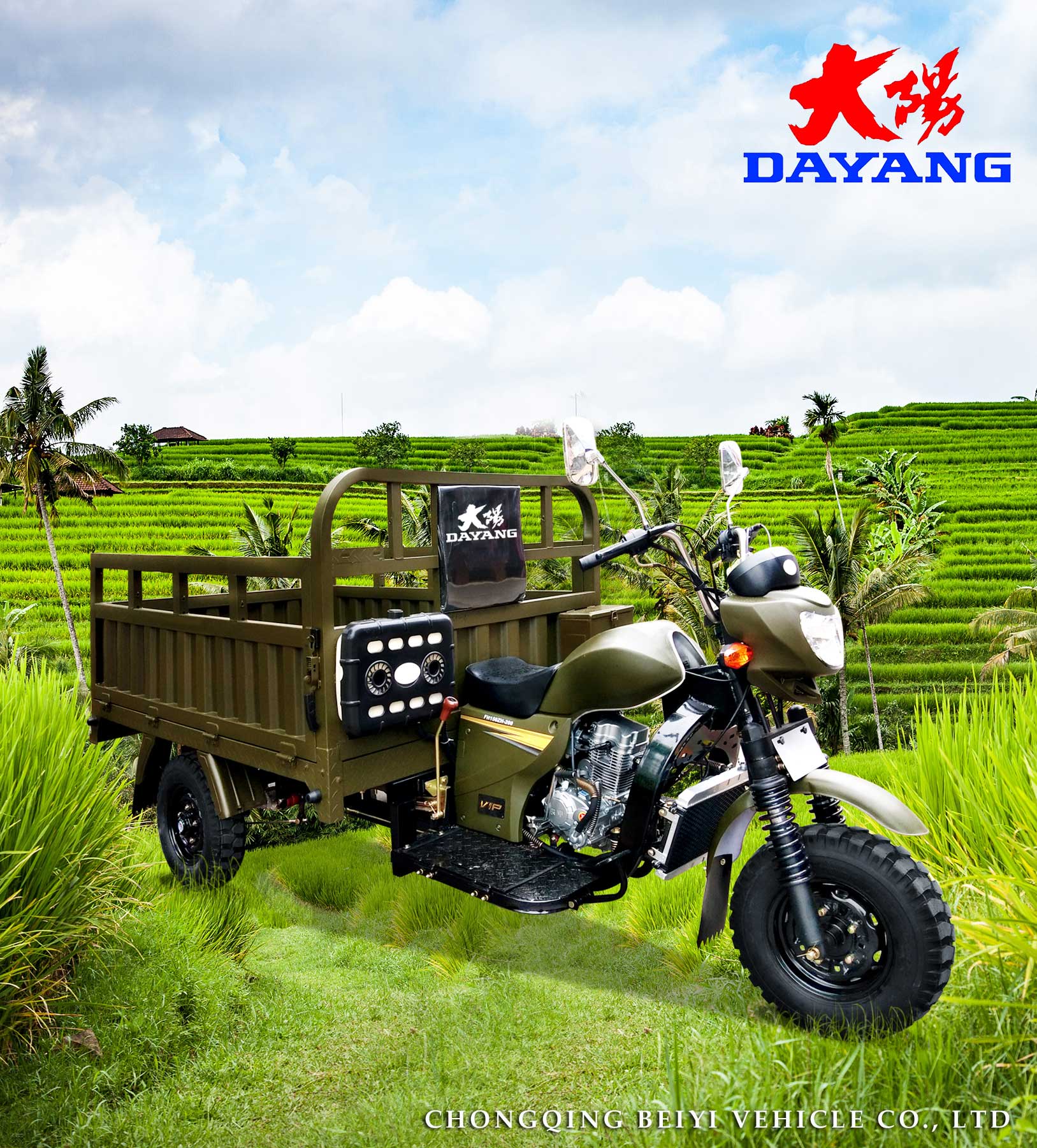 DAYANG H5 Heavy Load Open Driver Seats Cabin Cargo 200CC 3 Wheel Tricycle Motorized